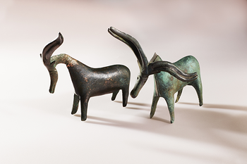 The two bronze bucks are part of the richest find from the Norwegian Bronze Age. They were found together with other bronze objects in Lunner in Hadeland in 1925, probably buried as a sacrifice to the gods. The objects are dated to 700-500 BC. In the Bronze Age, people began to use metal, namely bronze, for the first time. Bronze was probably not that common, but was used for special ritual and religious objects, and to show off your high status. From the pictorial world of the Bronze Age, we know that many figures are composed of parts of different animals, such as horses, birds, snakes - and humans. The bronze bucks from Vestby are such a hybrid or complex animal: bucks with horse heads. Today we do not know exactly what this meant, but we believe that the religion and worldview one had in the Bronze Age was characterized by animism – that everything in nature has a soul. From the exhibition Control – attempting to tame the world, opening soon.&amp;#160;C23651.