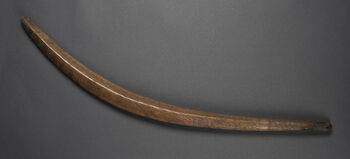 Museum number: UEM176&amp;#160;
Material: Wood
Region and culture: Australia (aboriginal)&amp;#160;
Description:&amp;#160;Wooden Aboriginal boomerang. Approximate 73 cm and decorated with a wavy pattern. The pattern has been interpreted to represent clan affiliation, though which clan is represented is not known. The boomerang has not been dated and there is unfortunately no documentation of where in Australia it comes from. Boomerangs functioned as weapons during hunting and warfare. There are usually two different types of boomerangs: the returning type (for hunting birds) and the non-returning type, used for hunting larger preys and during warfare.&amp;#160;&amp;#160;
This boomerang was collected by Fredrik Ring whilste being a tradesman in Valparaiso, Chile during the 1820s. In 1854 Consul Ring donated the boomerang to the Ethongraphic museum.&amp;#160;