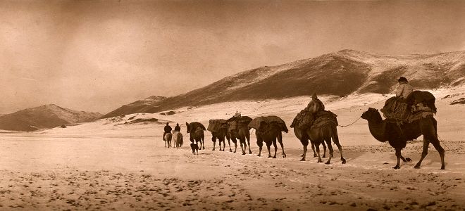 Bildet kan inneholde: kamel, kamelid, landskap, fjellkjede, arbeidsdyr.